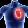 Heart Transplant Cost in India