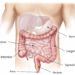 Do You Have Excess Fat On Your Stomach? Here’s How To Remove It!
